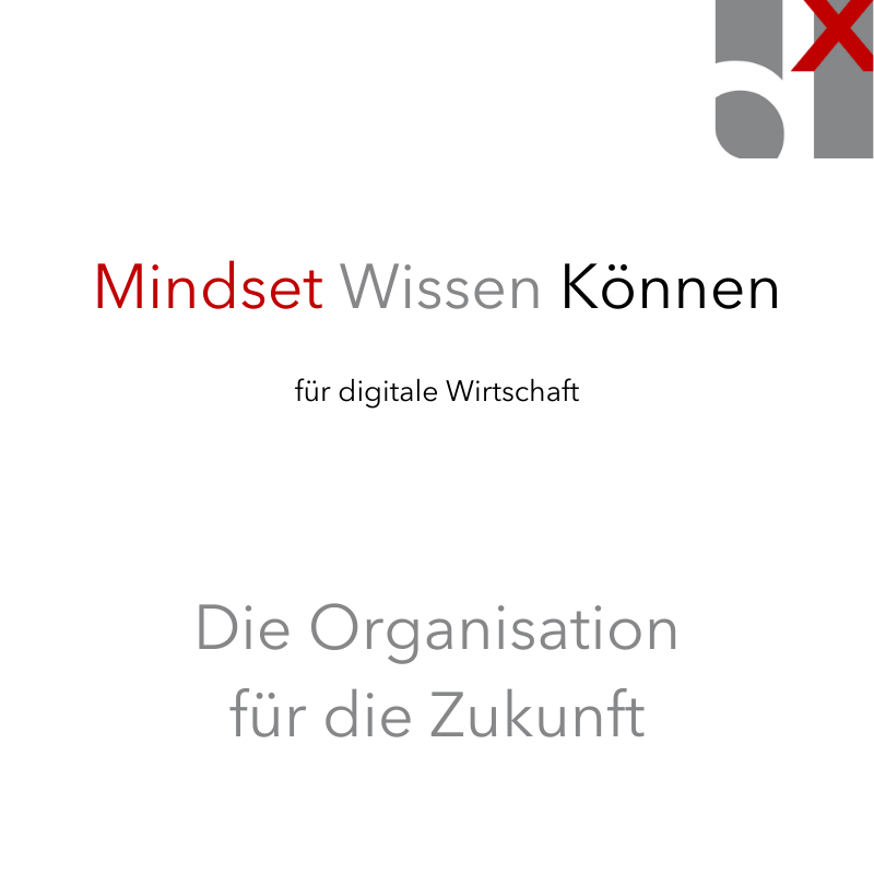 Digitale Kompetenz Mindset Wissen Können Digitalisierung Organisation